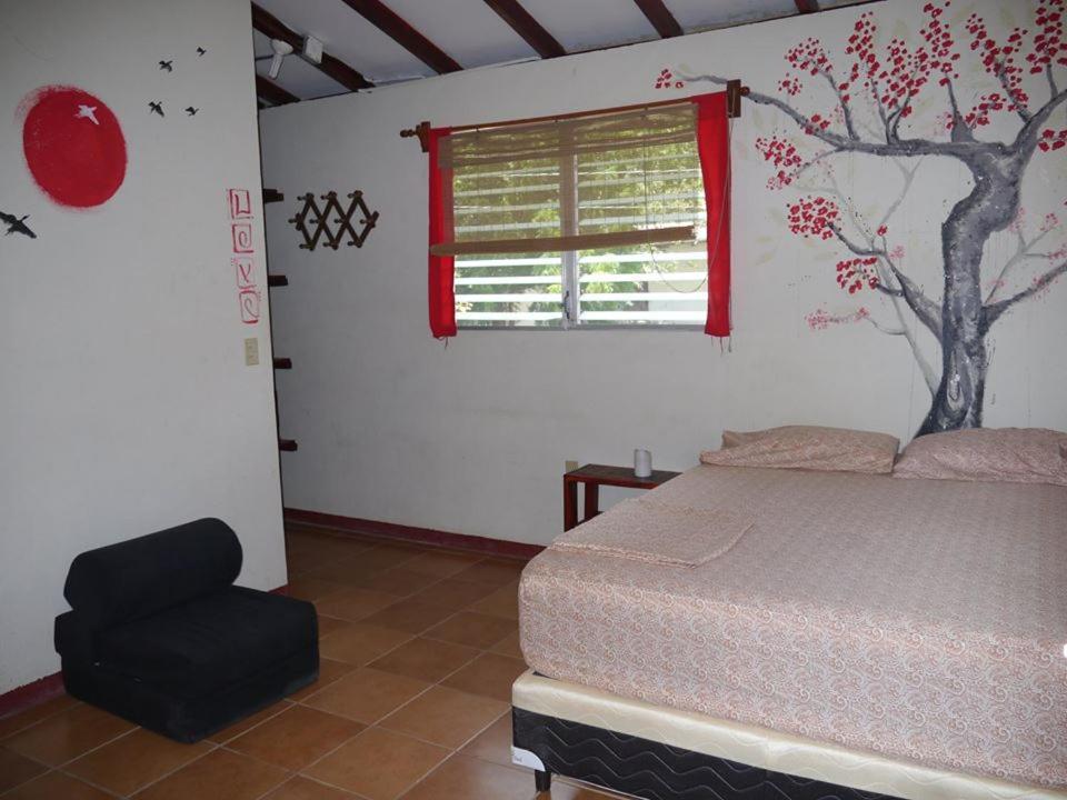 Free Spirit Hostel Transito Eksteriør bilde