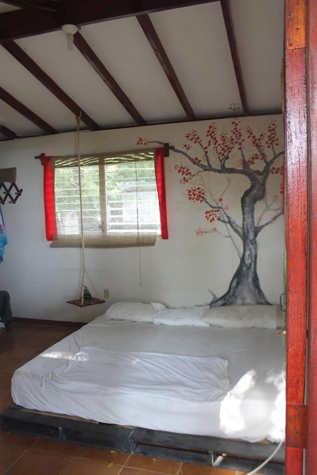 Free Spirit Hostel Transito Eksteriør bilde